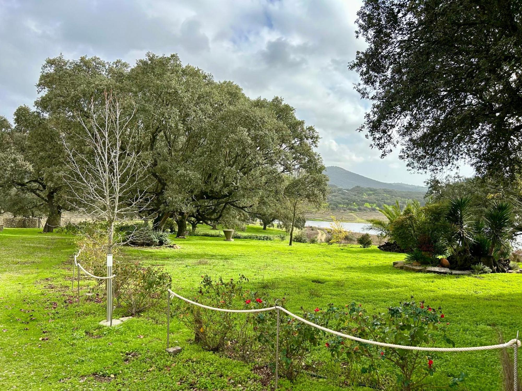 Casa Rural Alcornocalejo Монестерио Екстериор снимка